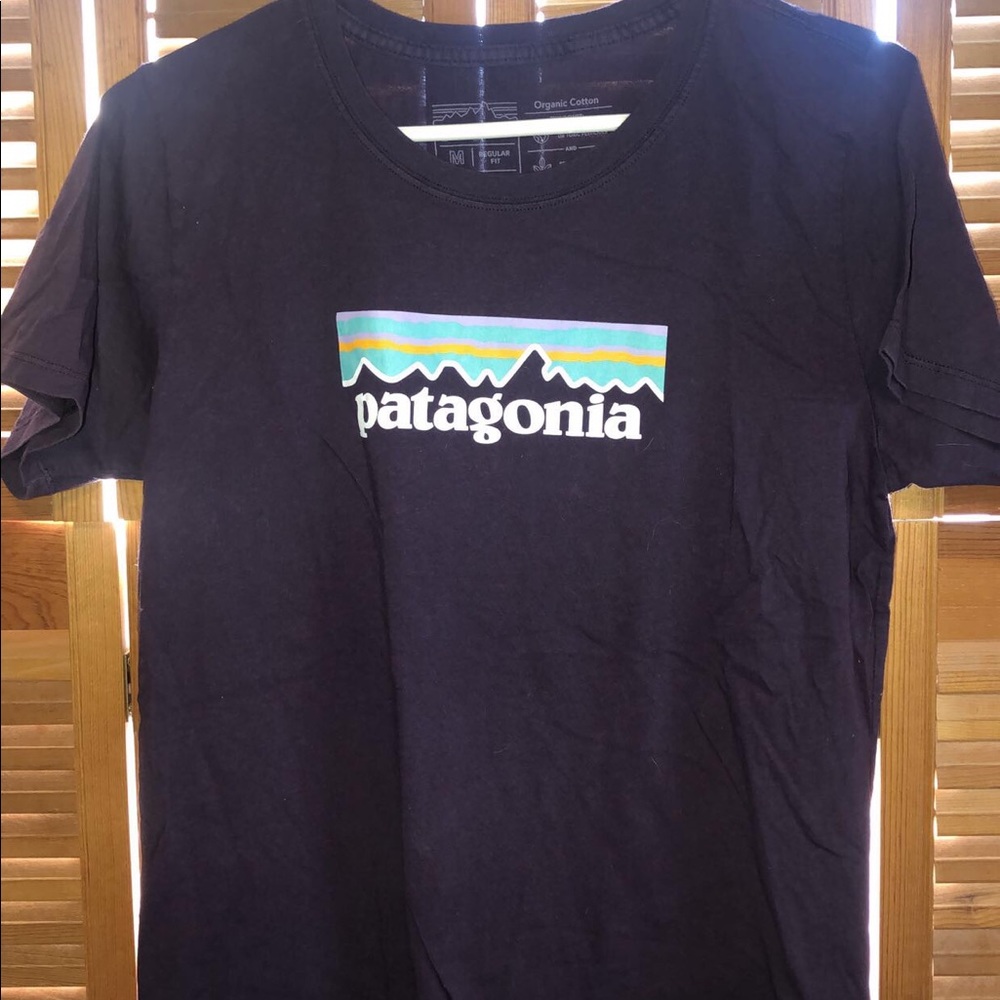 patagonia tee